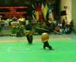Juara Tempur Putera