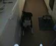 videos de Sekalaisia Katkelmia...