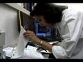 A Day in the Life - Obstetrician/Gynecologist