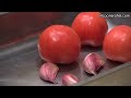 EL COCINERO FIEL #246 - ESCAROLA CON ROMESCO (XATÓ O XATONADA)