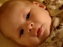 Bodhi