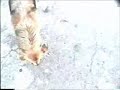 asado piedras de tunja cometas con pedro y patricia
