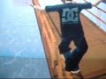 Evoloution Skateboarding