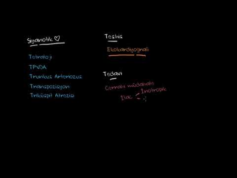 Khan Academy - Siyanotik Kalp Hastalıklarının Teşhis ve Tedavisi (Fen Bilimleri) (Sağlık ve Tıp) - 2021.03.01