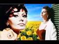 Theme from Sunflower (Henry Mancini)
