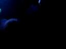 tiesto-dk-gorbunova-part-two.html