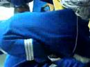 School Life??Crazy People