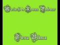 mariachi      roman palomar  tierra blanca