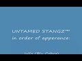 UNTAMED STANGZ™ FREEWAY RUN