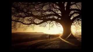 Cheb Kamel Loveur -- Khalak Galbak Omri Tensini -- Rai Sentimental -- Mosta Dz