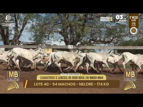 9� MEGA LEIL�O DA MB LEIL�ES
