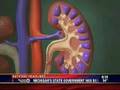 Healthbeat - Kidney Stones