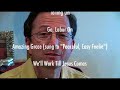 Mike Cope Sings the Classics