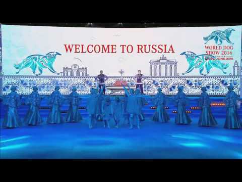 YouTube Трейлер