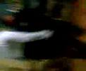 videos de FuLl ZaLzA..!