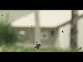 Click here to watch this video Creative Film Project Part 2.