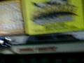 videos de RST Regency and SS TrailBlazer vs different cars.