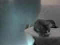 Sci-fi battle: Cat Bobo vs White mouse