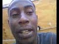 Dubbs blackhed