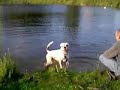 balko balko