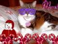 coockie mimine noel.wmv