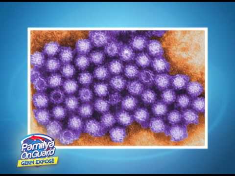 how to treat eggs for salmonella