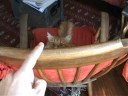 Cat Casimir1 - Domestic violence Cat Casimir1 - Domestic violence