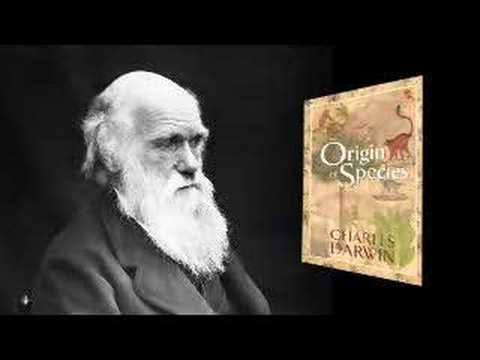 Excerpts from ENDGAME: Eugenics