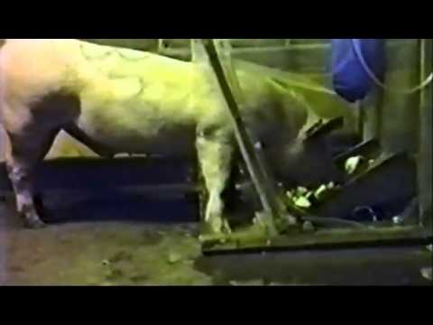 Cover of the article "Artificial Atmospheres"