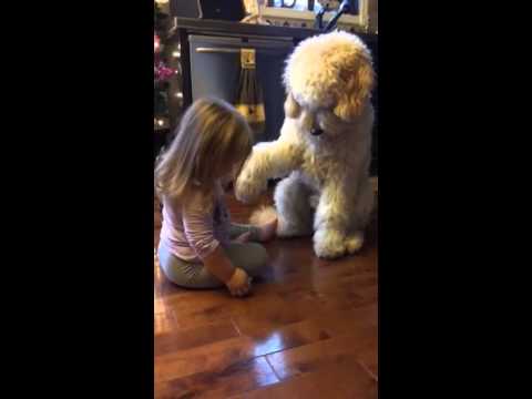 Can't Decide Which One Is Cuter...The Baby Or The Puppy!