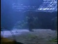 Xena- What do I do now