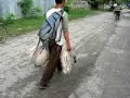 carrying a piglet- Myitkyina
