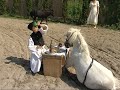 Mészáros testvérek Mészáros testvérek