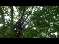 accro-branche