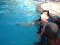 FEARLESS 2 year old girl swims and jumps off the diving board and loves it!!