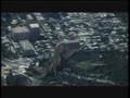 Ace Combat 6 Mission 01 CFA-44 Razgriz Aces Ave Maria