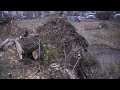 Gdańsk Zaspa- ślady po październikowej wichurze