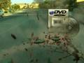 videos de GODSVISIE DVD