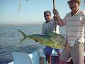 Pesca en Puerto Escondido Pesca en Puerto Escondido