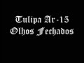 Tulipa AR-15 - Olhos Fechados