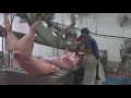 Pig Carcass Dressing