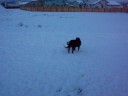 100_0434.mov