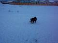 100_0434.mov