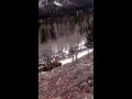 Estes park winter hike - YouTube