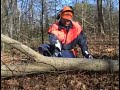 Tree Cutting Safety, Part 2: Bucking and Cutting