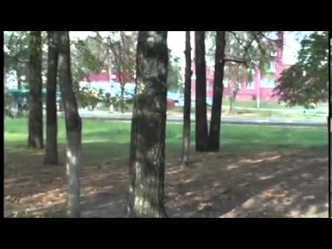 video-show