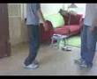 HSK Practice