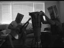 Two Bags, Two Bongos, and a Guitar.