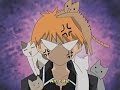 FerSure Not! Fruits Basket