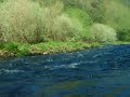 Canoagem Rio Vouga